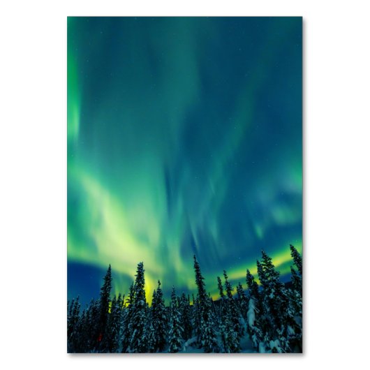 Noordelijke Lichten Aurora Borealis Night Sky Wedd Kaart (Achterkant)