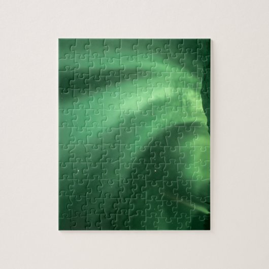 Noordelijke lichten, Aurora borealis, over de gron Legpuzzel (Verticaal)