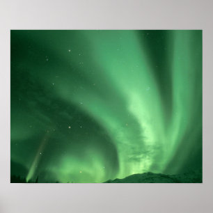 Noordelijke lichten, Aurora borealis, over de gron Poster