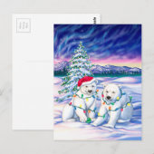 Noordelijke lichten briefkaart (Voorkant / Achterkant)