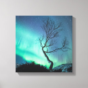 Noordelijke lichten canvas afdruk
