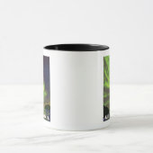 Noordelijke lichten en orcas - Anchorage, Alaska Mok (Midden)