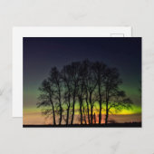 Noordelijke lichten | Manitoba Canada Grande Point Briefkaart (Voorkant / Achterkant)