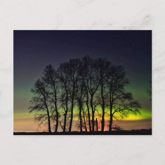 Noordelijke lichten | Manitoba Canada Grande Point Briefkaart (Voorkant)