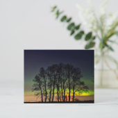 Noordelijke lichten | Manitoba Canada Grande Point Briefkaart (Staand voorkant)