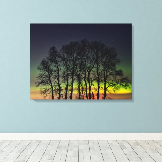 Noordelijke lichten | Manitoba Canada Grande Point Canvas Afdruk (Insitu (Houten vloer))