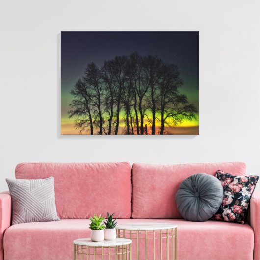 Noordelijke lichten | Manitoba Canada Grande Point Canvas Afdruk (Insitu (Woonkamer))