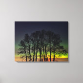 Noordelijke lichten | Manitoba Canada Grande Point Canvas Afdruk (Voorkant)