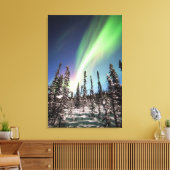 Noordelijke lichten | Nationaal park Denali Canvas Afdruk (Insitu (Woonkamer))