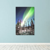 Noordelijke lichten | Nationaal park Denali Canvas Afdruk (Insitu (Houten vloer))