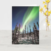 Noordelijke Lichten | Nationaal Park Denali Kaart (Gele Bloem)