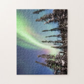 Noordelijke lichten | Nationaal park Denali Legpuzzel (Verticaal)