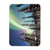 Noordelijke lichten | Nationaal park Denali Magneet (Verticaal)