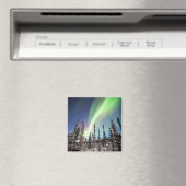 Noordelijke lichten | Nationaal park Denali Magneet (Insitu (Vaatwasser))