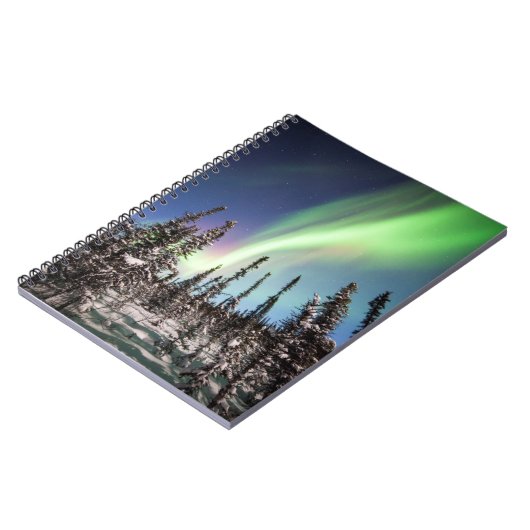 Noordelijke lichten | Nationaal park Denali Notitieboek (Linkerzijde)