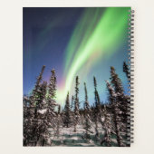 Noordelijke lichten | Nationaal park Denali Planner (Achterkant)