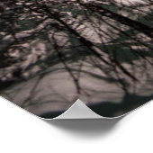 Noordelijke lichten | Nationaal park Denali Poster (Hoek)