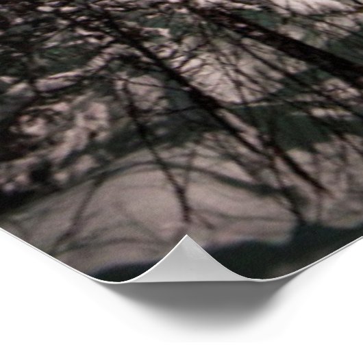 Noordelijke lichten | Nationaal park Denali Poster (Hoek)