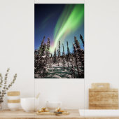 Noordelijke lichten | Nationaal park Denali Poster (Keuken)