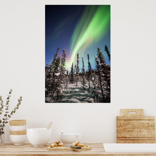 Noordelijke lichten | Nationaal park Denali Poster (Keuken)