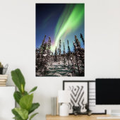 Noordelijke lichten | Nationaal park Denali Poster (Thuiskantoor)