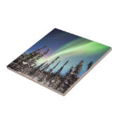 Noordelijke lichten | Nationaal park Denali Tegeltje (Zijkant)