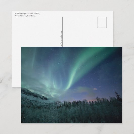 Noordelijke Lichten Noorwegen Briefkaart (Voorkant / Achterkant)