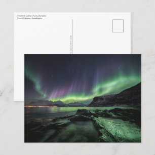 Noordelijke Lichten Noorwegen Briefkaart