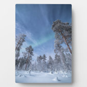 Noordelijke Lichten Noorwegen Fotoplaat (voorkant)