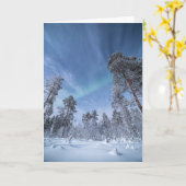 Noordelijke Lichten Noorwegen Kaart (Gele Bloem)