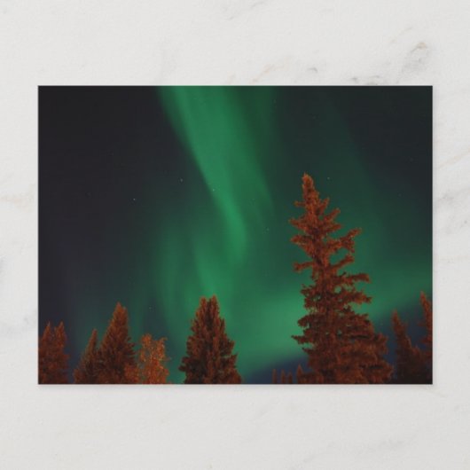 Noordelijke lichten over Ft. Wainwright, AK Briefkaart (Voorkant)