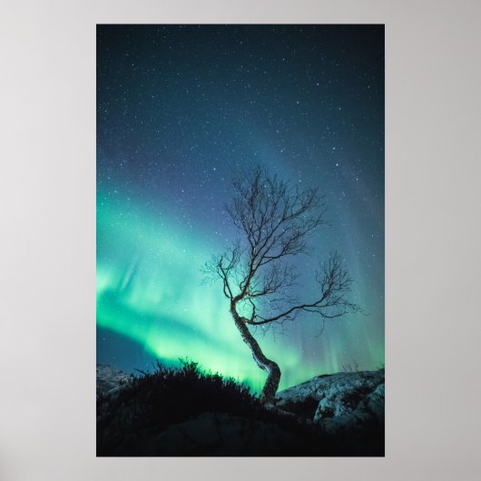 Noordelijke lichten poster (Voorkant)