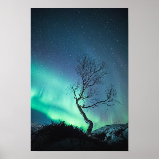 Noordelijke lichten poster (Voorkant)