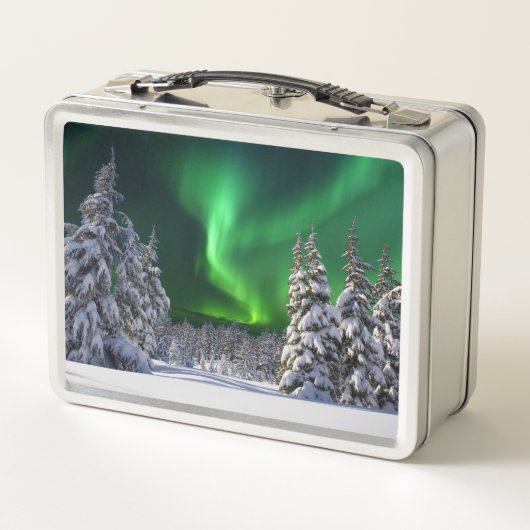 Noordelijke lichten tijdens (Achterkant)