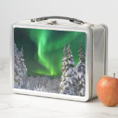 Noordelijke lichten tijdens (In situ)