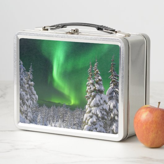 Noordelijke lichten tijdens (In situ)