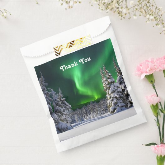 Noordelijke lichten tijdens de winter bedankzakje (Gezegeld)