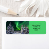 Noordelijke lichten tijdens de winter etiket (Insitu)