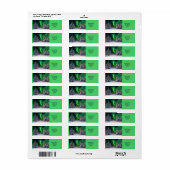 Noordelijke lichten tijdens de winter etiket (Full Sheet)