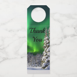 Noordelijke lichten tijdens de winter flessenhanger