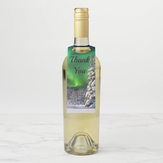 Noordelijke lichten tijdens de winter flessenhanger (Op fles)