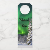 Noordelijke lichten tijdens de winter flessenhanger (Voorkant)