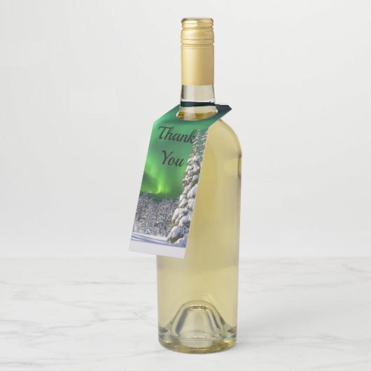 Noordelijke lichten tijdens de winter flessenhanger (Schuin)