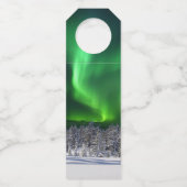 Noordelijke lichten tijdens de winter flessenhanger (Achterkant)