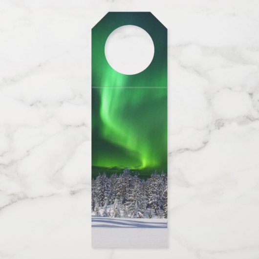 Noordelijke lichten tijdens de winter flessenhanger (Achterkant)