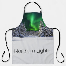 Noordelijke lichten tijdens de winter