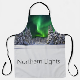 Noordelijke lichten tijdens de winter schort