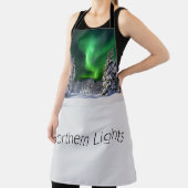 Noordelijke lichten tijdens de winter schort (Insitu)