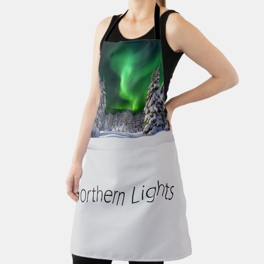 Noordelijke lichten tijdens de winter schort (Insitu)