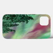 Noordelijke lichten | Winter in Glennallen, Alaska Case-Mate iPhone Case (Achterkant (horizontaal))